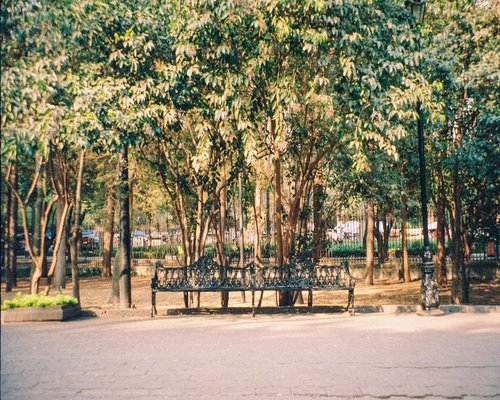 A relaxed person reading a book on a park bench in Mexico City