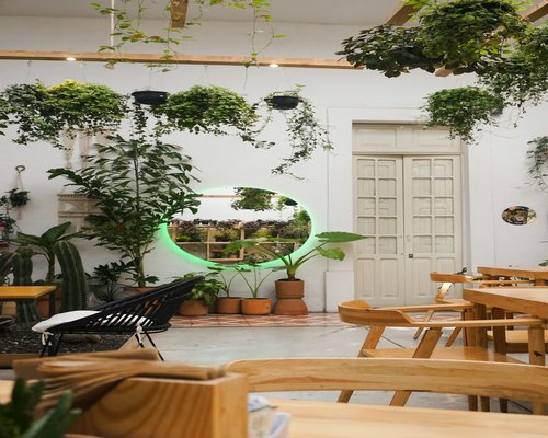 Modern minimalist workspace with a laptop and plants in Guadalajara